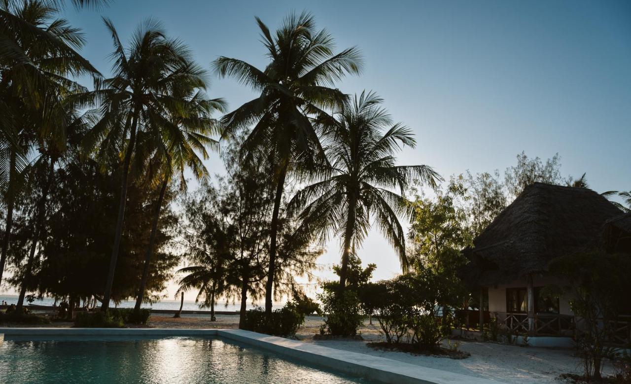 Joy Of Zanzibar Hotel Michamvi Kae Ngoại thất bức ảnh